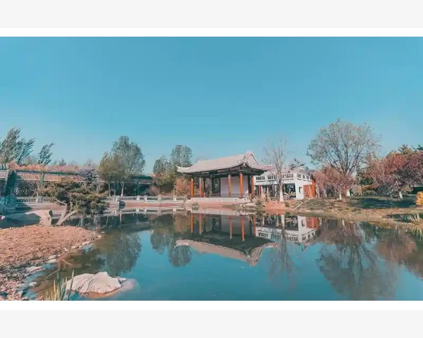 夏季养肝食疗，五大秘方让你焕发活力