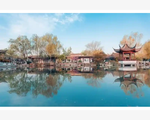 健脾胃食疗养生：让你的生活更健康