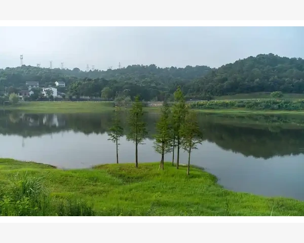 三伏贴除湿穴位，预防湿气侵袭，中医科普文章
